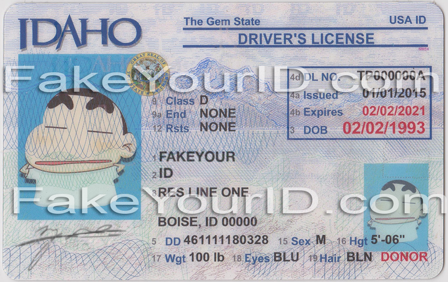 Idaho-fake-id-hologram
