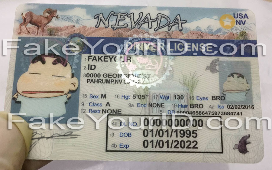 NEvada2