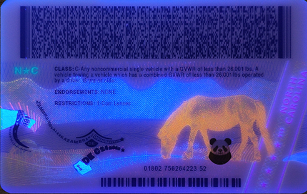 North-Carolina-fake-id-back-uv