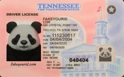 Tennessee-fake-id-400x249