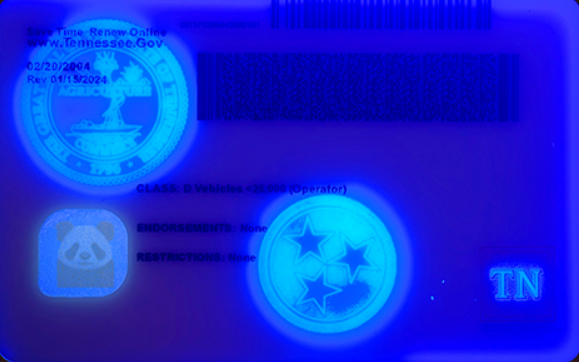 Tennessee-fake-id-back-uv