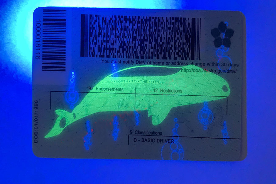 alaska-fake-id-card