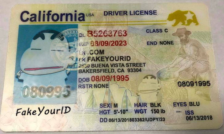 california-fake-id-dummy