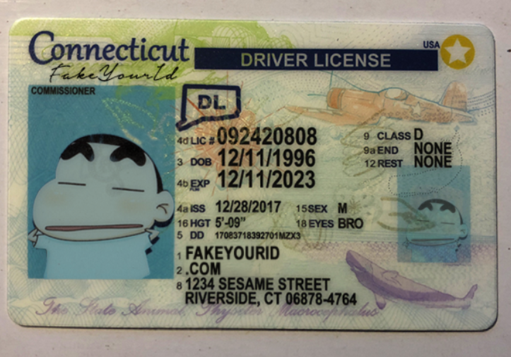 connecticut-fake-id