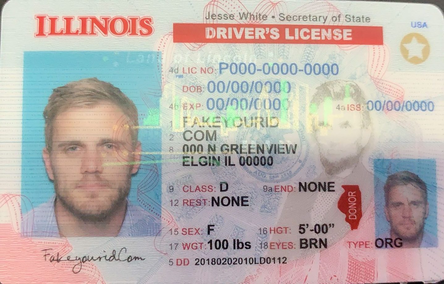 illinois-fake-id-1-e1633290778899