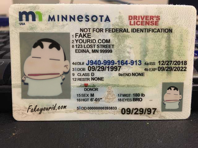 minnesota-new