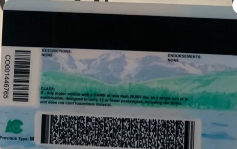 new-colorado-fake-id-back