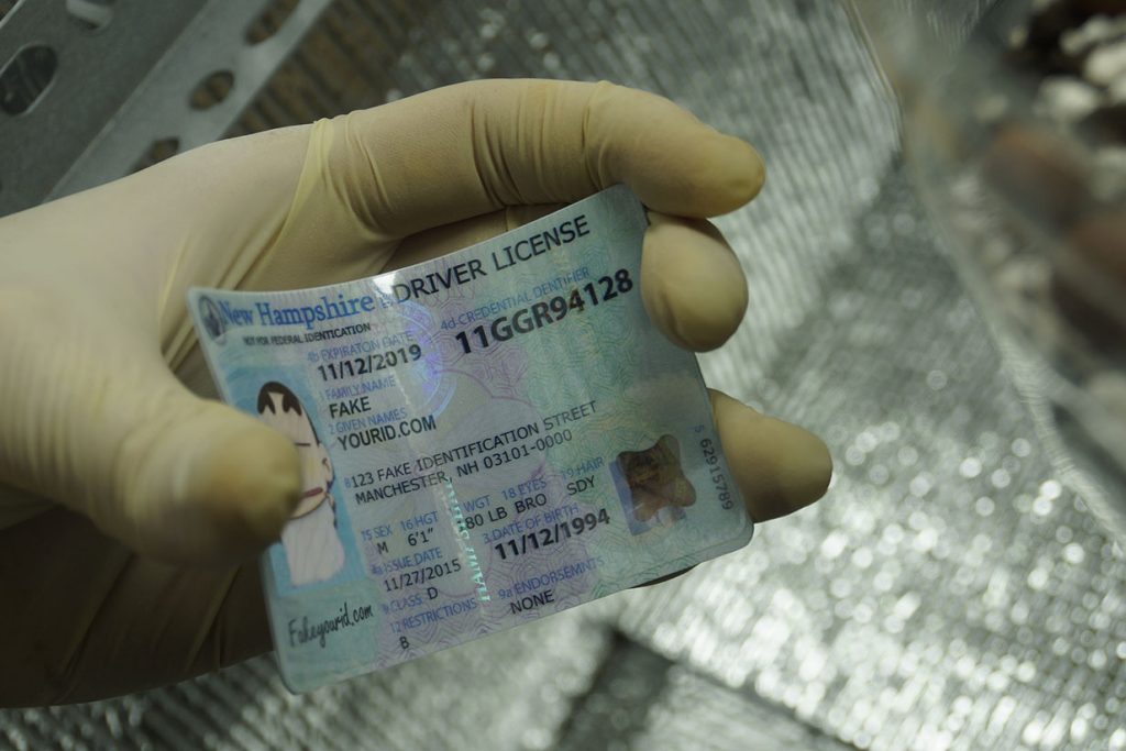 new-hampshire-fake-id-front